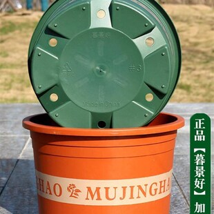 pot POTS More flower trees green plant large plastic