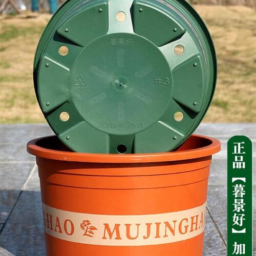 More large flower pot plastic plant trees green plant POTS