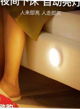 PIR Motion Sensor LED Night Light USB Rechargeable Lamp