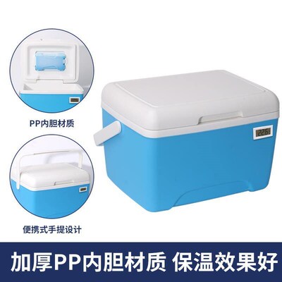 8L Outdoor Car Incubator Refrigerator Camping Picnic Barbecu