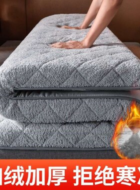 Autumn and winter new lamb velvet mattess plus velvet padded