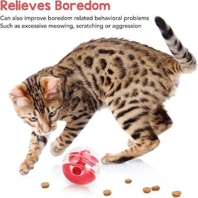 hanced feline friend - Keep your cat entertained and active