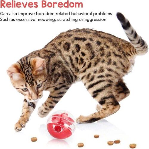 hanced feline friend - Keep your cat entertained and active