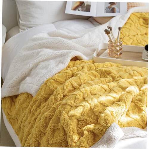 被子毛毯 velvet thick warm winter quilt duvet 2sides blanket