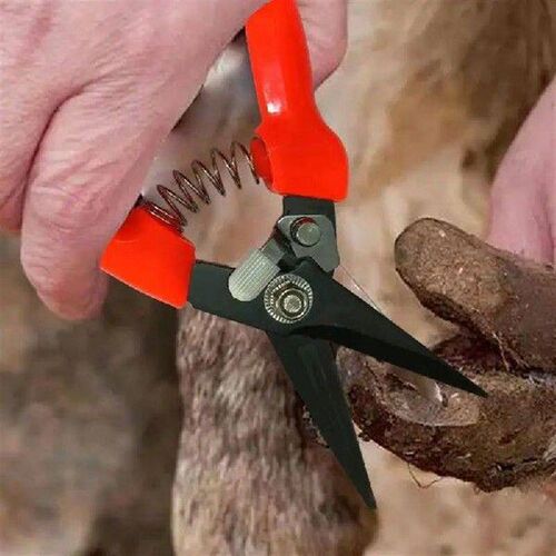 Hoof Trimmers For Goats Horse Clippers Hoof Trimmers