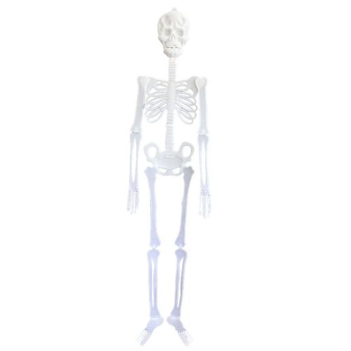 Spooky glow-in-the-dark skeletons decorated for Halloween