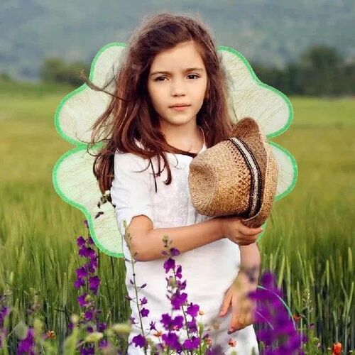 Fairy Wings Costume Green Four Leaf Fantasy Wings Cosplay