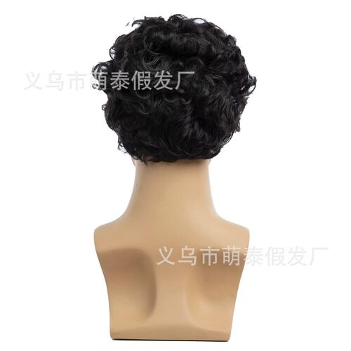 Mens Hair Natural Fluffy Short Curly Hair Fashion High Temp