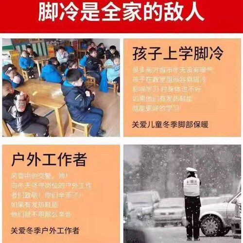 Mugwort Self-Heating Insoles for Winter, Suitable for Men an
