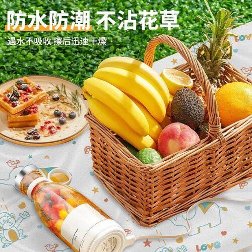 Outdoor Camping Disposable Picnic Mat Moisture-Proof Pad Por