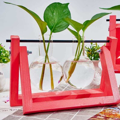 Wooden frame hydroponic vase green rose plant glass flower w