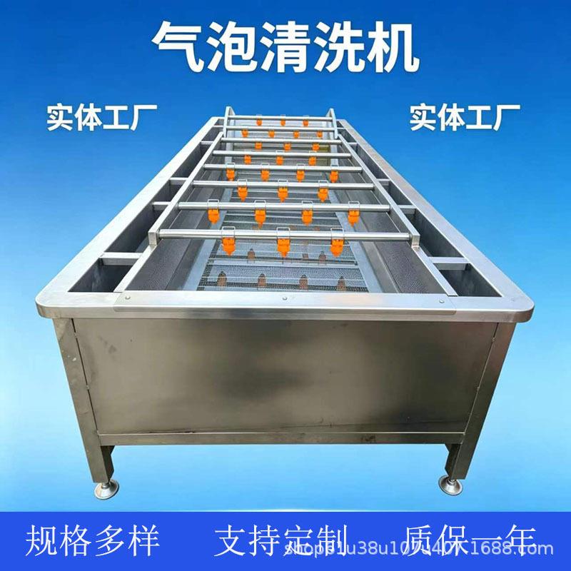 蓝莓山楂气泡清洗机杨梅车厘子清洗设备辣椒秋葵净菜喷淋式清洗机