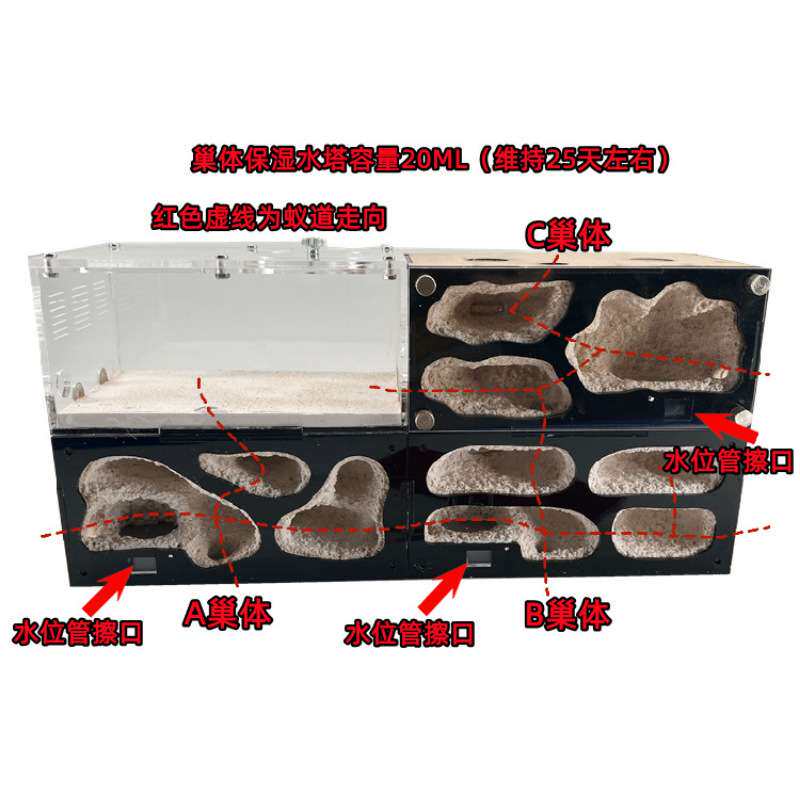 混凝土蚁巢自动温控保温无限加叠款蚂蚁工坊城堡沙巢宠物蚂蚁