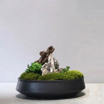 中式清新现代仿真苔藓文竹花艺装售楼部会所洽谈桌茶几软装摆件