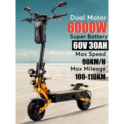 1+6WDualMotorEleciS