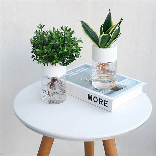 Mini Hydroponic Flower Pot Home Vase Decor Transparent