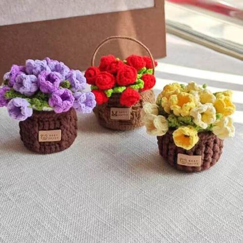 Rose Crochet Coasters with Plant Pot Handmade Knitted Flower