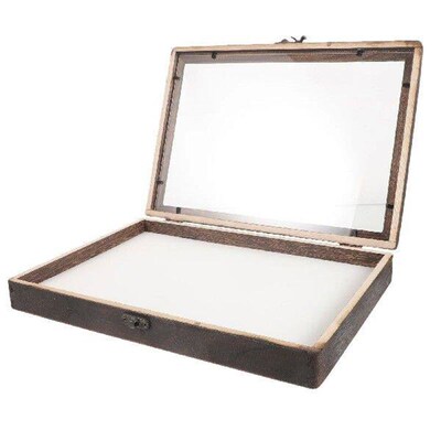 Insects Butterfly Specimen Display Box Holder Frame Vintage