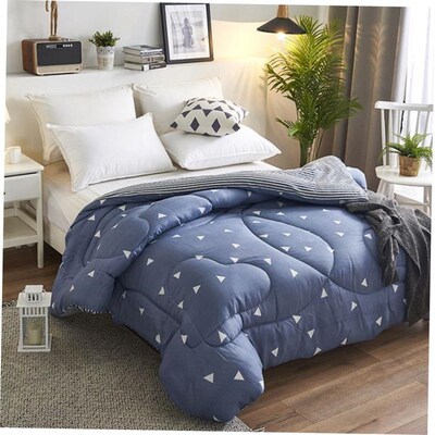 super warm quilt winter bed duvet blanket 舒适被子冬被芯保暖