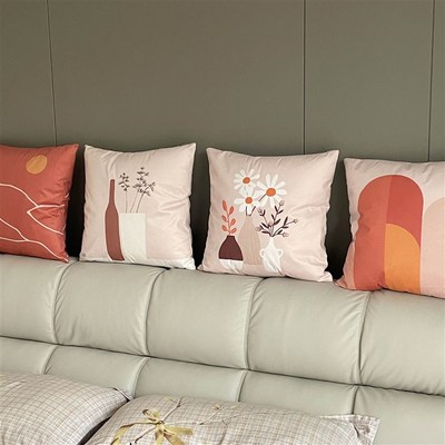 Cushion Cover Sofa Decorative Pillows Cover Velvet Pillow