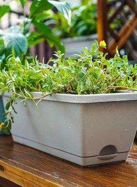 Vegetable pots flower Plant rectangular large planting box