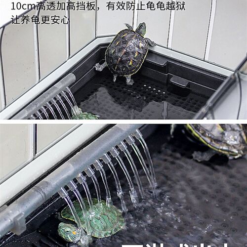 Small turtle tank special turtle large home tortoise box
