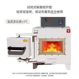 P马弗炉SX 炉2 10DII箱式 D管式 电阻炉SRJX 天津泰斯特5