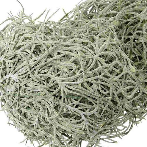 Artificial Dried Flowers Fake Plant Hanging Moss Decor for