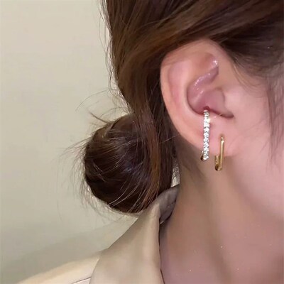2023 New Bright Crystal Luxury Korean Unusual Claw Stud Earr