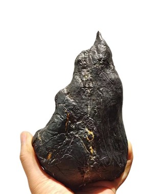 灵璧石天然原石盆景石花盆鱼缸造景 龟纹石 根抱石 盆景石料