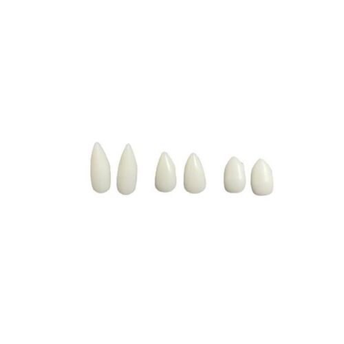 Halloween vampire dentures zombie dentures cos makeup props