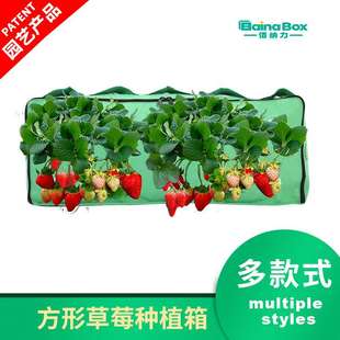 厂家定 制无纺布长方形多口草莓种植箱家庭阳台蔬果植物栽培花盆