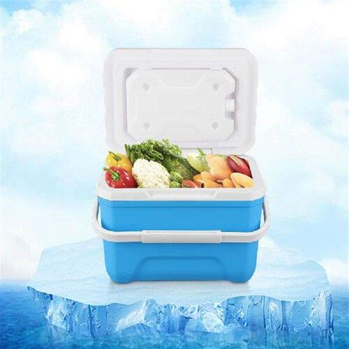 6L Insulated Portable Cooler Large Capacity Mini Freezer