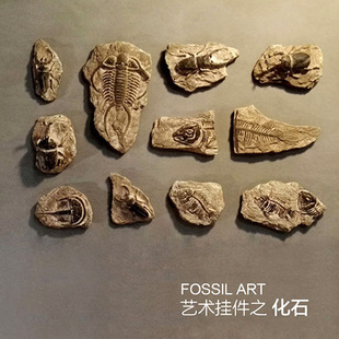 树脂海洋古生物海螺化石三叶虫独角仙昆虫鱼骨化石墙壁装饰挂件