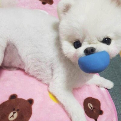 Rubber Dog Toys Pet Play Squeaky Ball Chewing Toy with Face