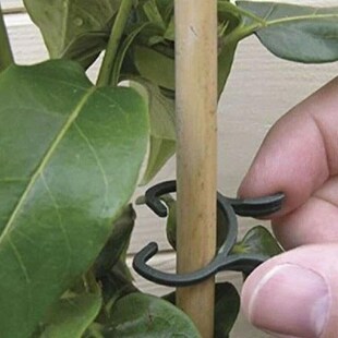100pcs Durable Clamp Farm Fastening Garden Tools Greenhouse