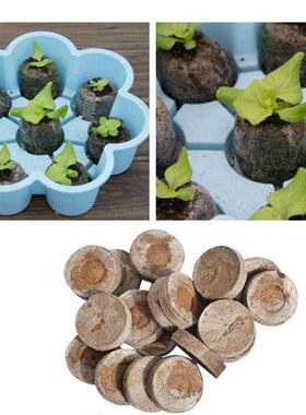 20 Cells Seedling Trays Seed Starter Box Plant Flower Grow