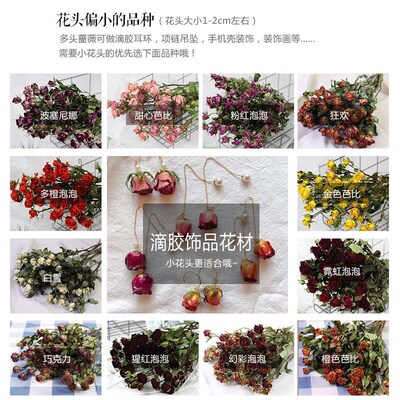 Really spend long small rose rose dried flower shops sitting