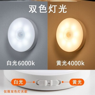 PIR Motion Sensor LED Night Light USB Rechargeable Lamp