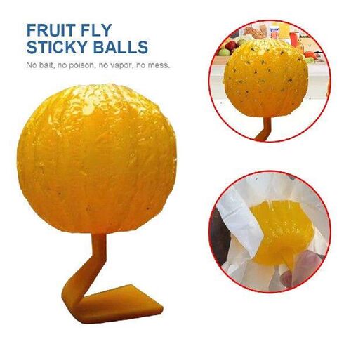 2pcs Fruit Fly Traps Non-Toxic Effective Fly Catcher Killer