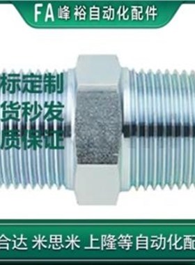 螺纹接头 PT连接PF30MIS 外螺纹连接器1009-04