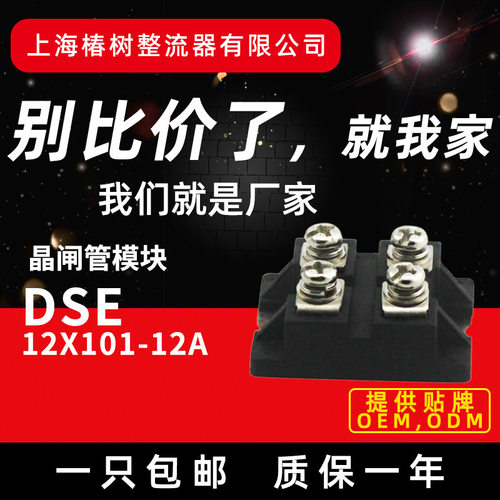 DSE12X101-12A