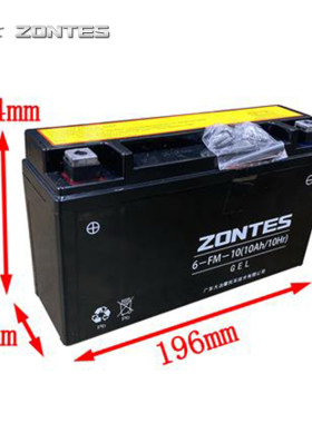 升仕ZT350T1T2R1R2V1X1X2GKS摩托车12V10AH胶体蓄电池电瓶充电器