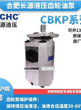 合肥长源齿轮油泵CBKP32/40/50/63/80/100-BFP/BFH/BFX/BF
