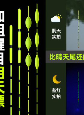 纳米阴天尾浮漂加粗醒目鲫鱼鲤鱼漂高灵敏浮标近视可夜钓渔具套装