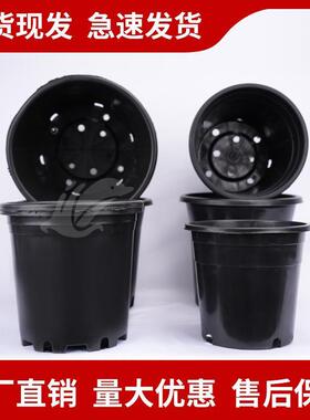 塑料花盆黑色桶基地种植多肉盆育苗盆加仑盆家用大AB型圆反边花盆