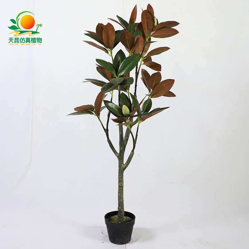 仿真玉兰花室内外绿植造景带果假树酒店家居摆件带盆落地假植物,3C数码配件,其它配件,淘宝优惠券,粉丝福利购,淘宝优惠卷