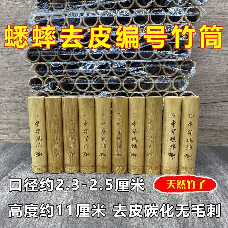 抓蟋蟀蛐蛐竹筒竹桶装油葫芦黑虫竹筒虫筒碳化无毛刺鸣虫用品用具