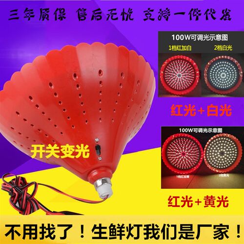 led低压生鲜灯调光水果灯电瓶电动车熟食灯12V60伏爆款摆摊夜市灯