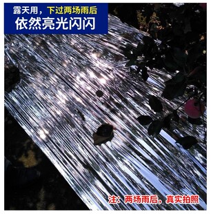 镀铝树果色银色反光膜果园无孔种植反射银色膜太阳光高亮水果上色